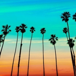 Pinarella dreamin’